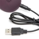 fi3923 fty-shades-freed-my-body-blooms-rechargeable-remote-control-knicker-vibrator 6
