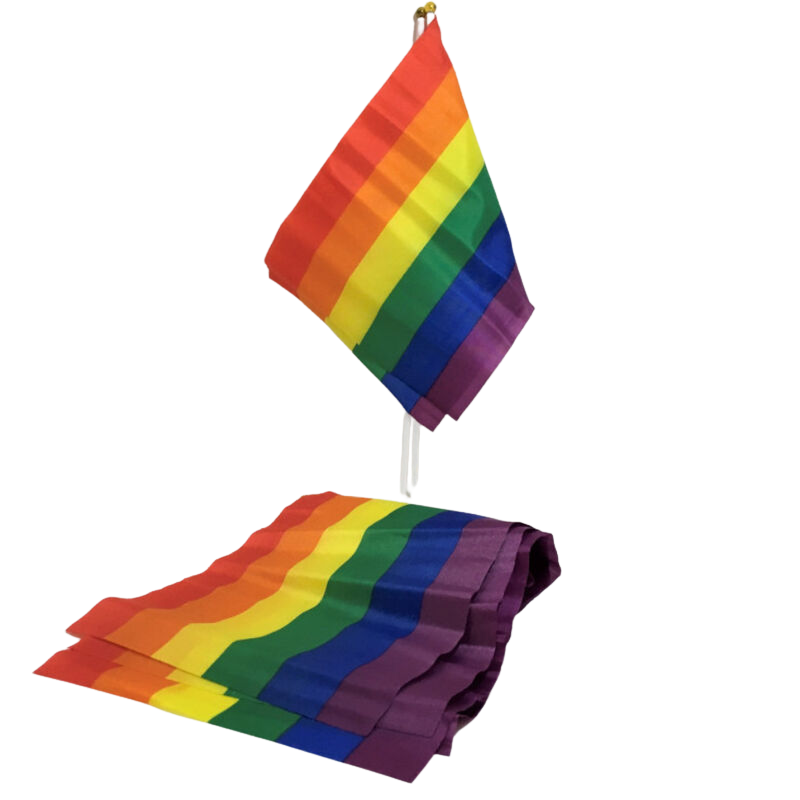 Pride Flagga – Liten Vimpel med LGBT Färger