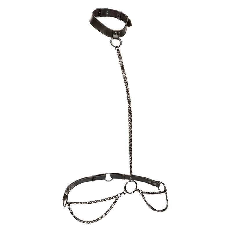 Euphoria kedjehalter och halsband med koppel – plusstorlek